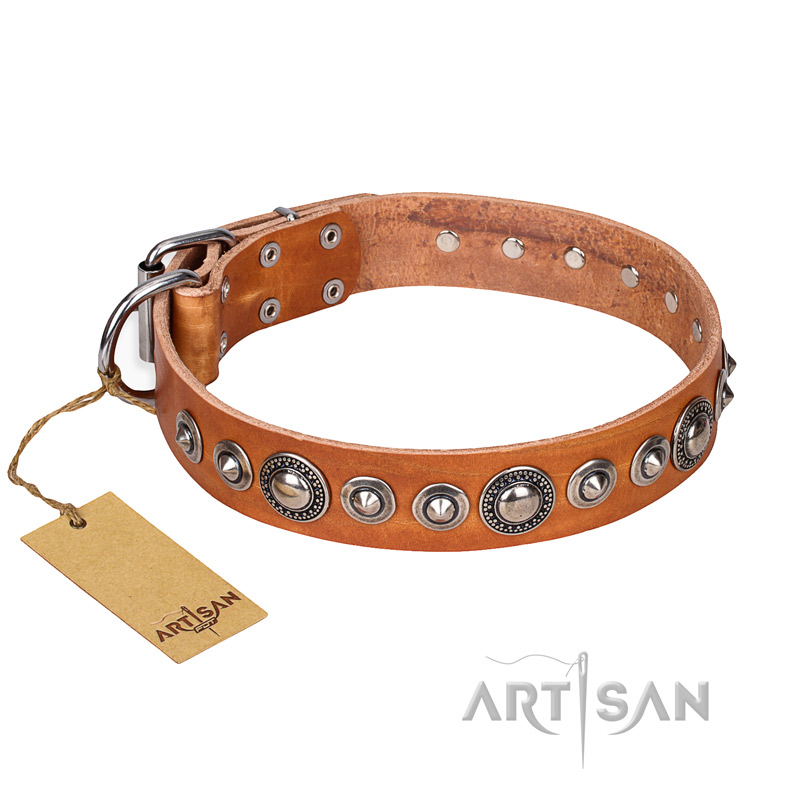 "Daily Chic" FDT Artisan Tan Leather American Bulldog Collar with Decorations