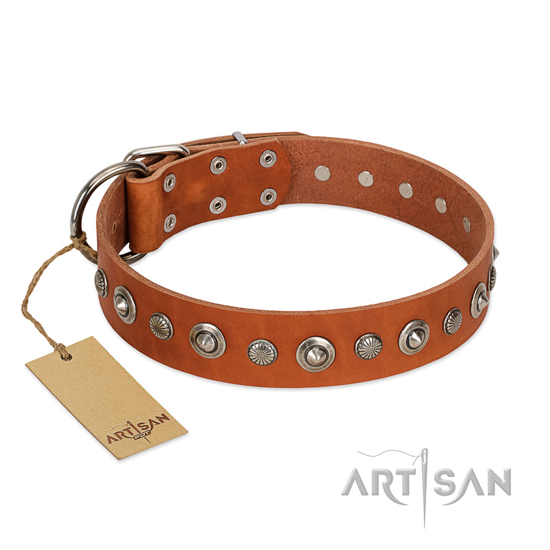"Gorgeous Roundie" FDT Artisan Tan Leather American Bulldog Collar with Chrome-plated Circles