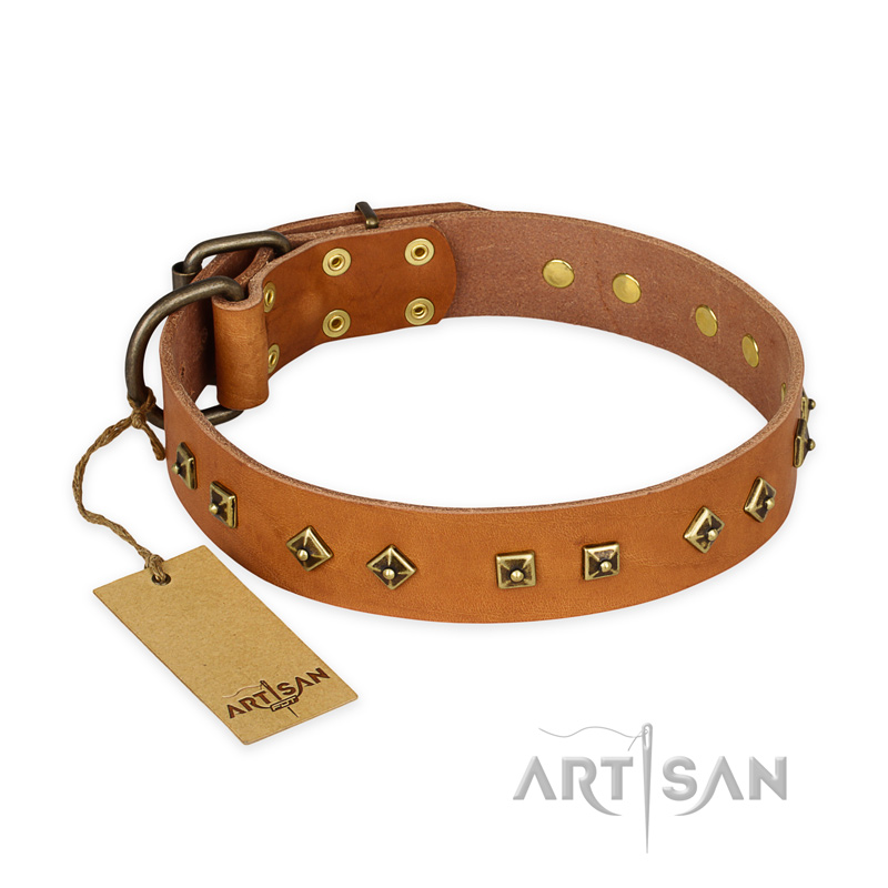 "Autumn Story" FDT Artisan Leather American Bulldog Collar with Old Bronze Look Studs