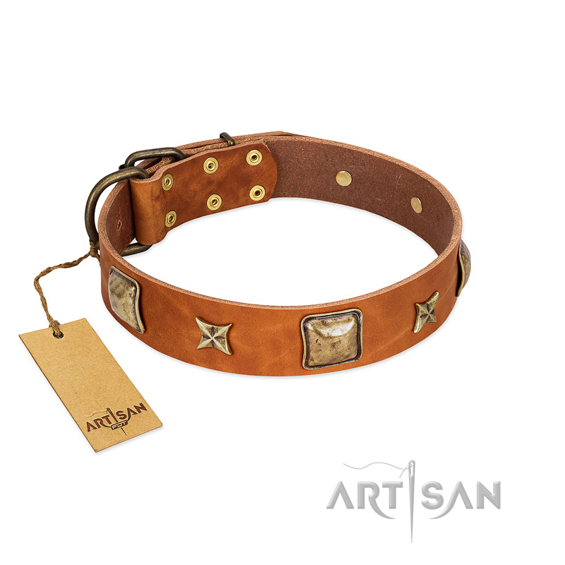 "Celtic Tunes" FDT Artisan Tan Leather American Bulldog Collar Adorned with Stars and Squares