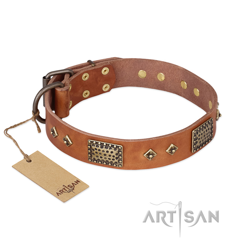 "Catchy Look" FDT Artisan Decorated Tan Leather American Bulldog Collar