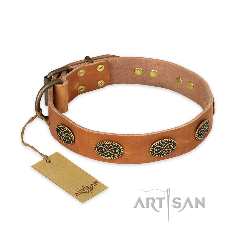 "Magic Amulet" FDT Artisan Tan Leather American Bulldog Collar with Oval Studs