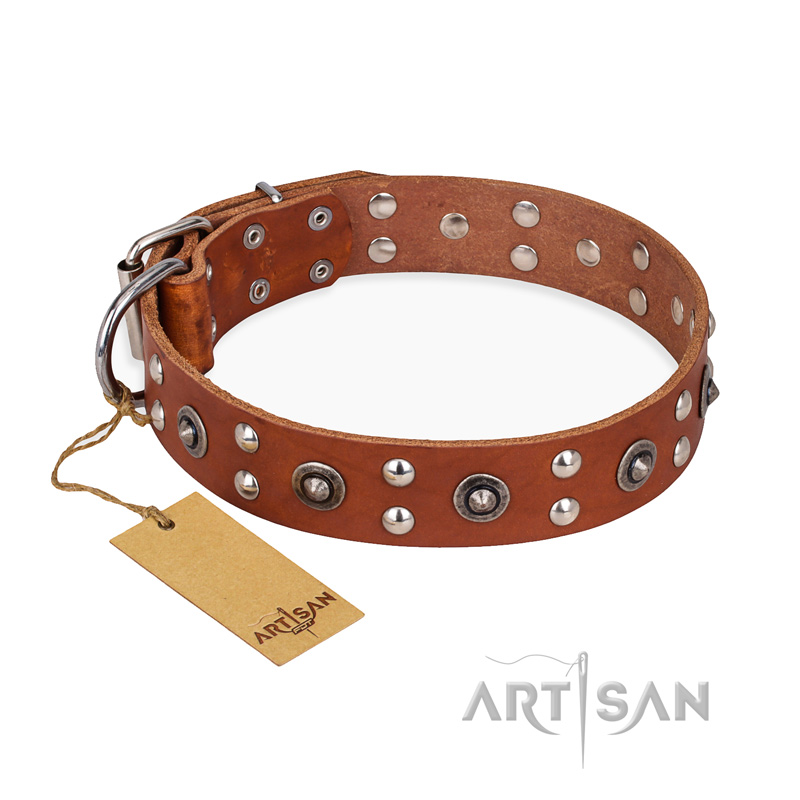 "Silver Elegance" FDT Artisan Decorated Leather American Bulldog Collar with Old Silver-Like Plated Studs and Cones