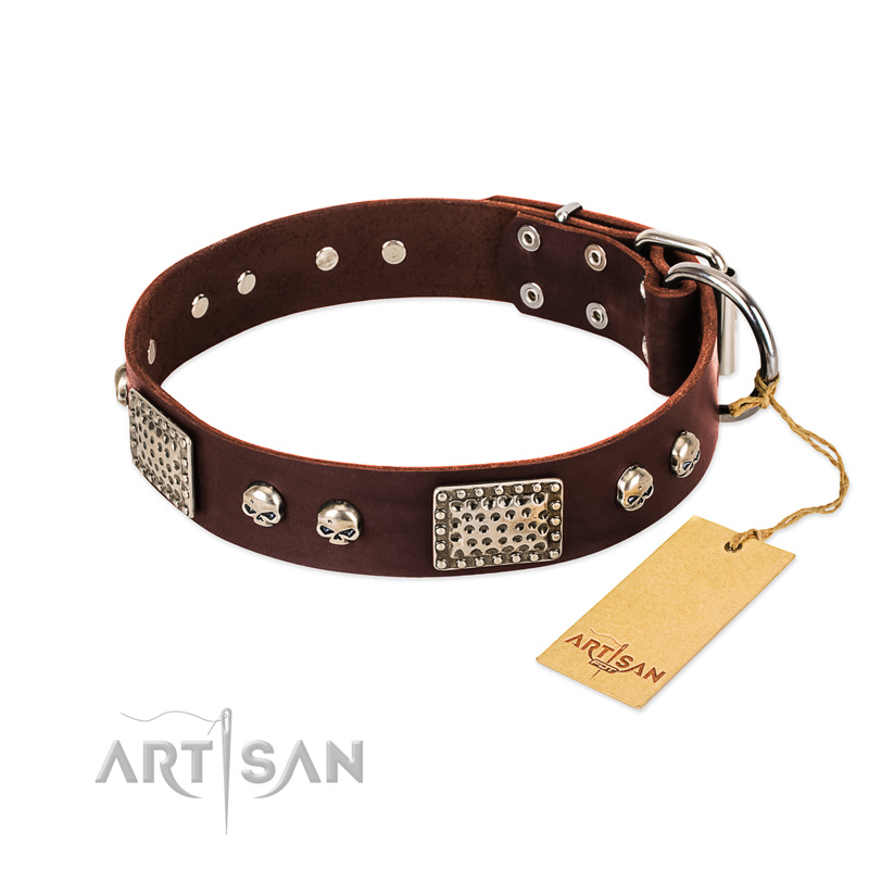 "Pirate Skull" FDT Artisan Brown Leather American Bulldog Collar with Old Silver Look Plates and Skulls