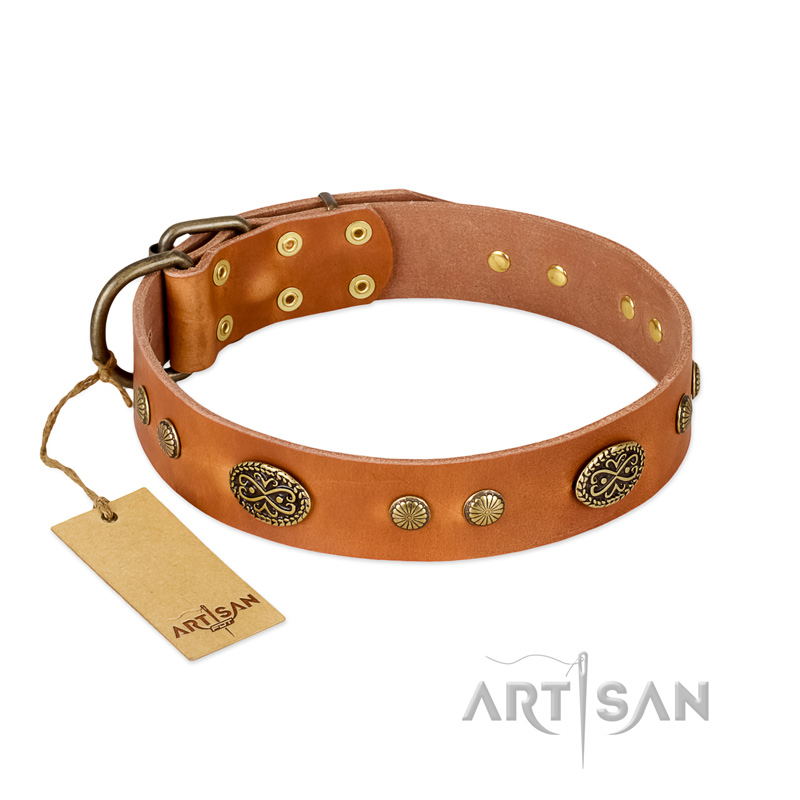 "Sun Beams" FDT Artisan Tan Leather American Bulldog Collar with Decorations