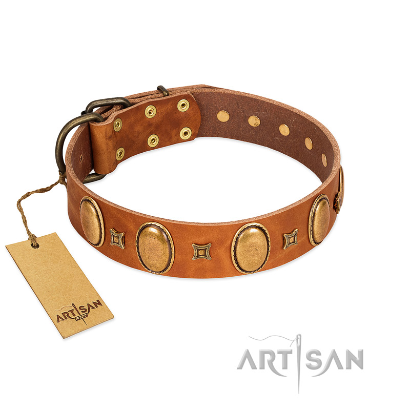 "Glossy Autumn" Designer Handmade FDT Artisan Tan Leather American Bulldog Collar with Ovals and Studs