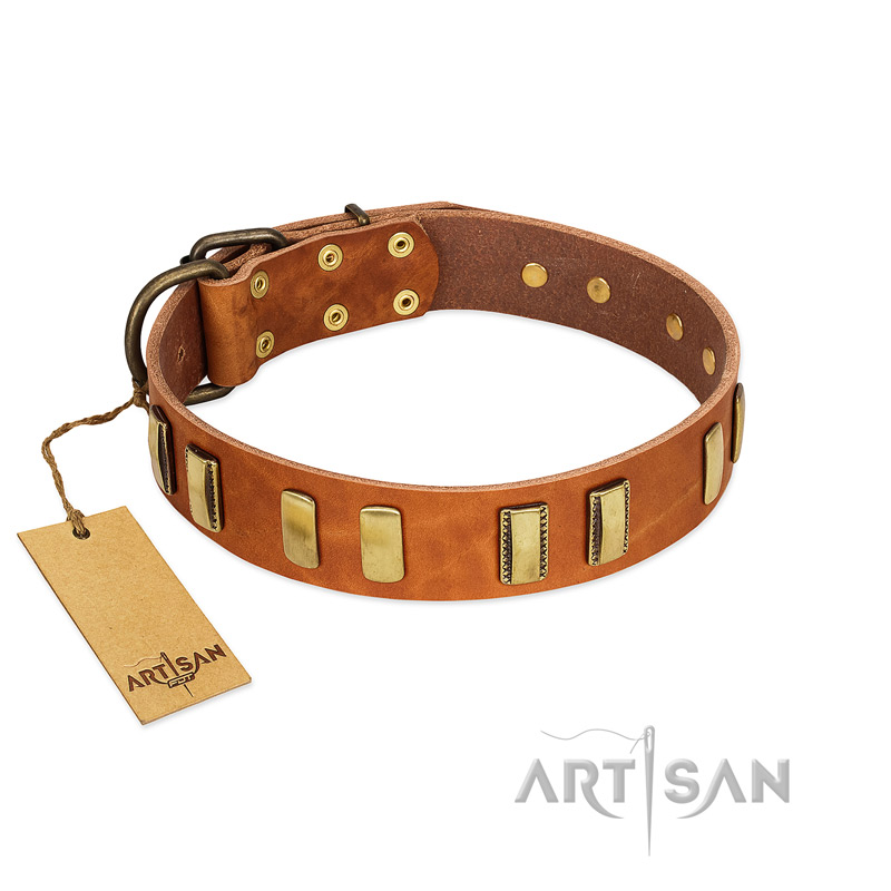 "Olive Slice" FDT Artisan Tan Leather American Bulldog Collar with Engraved and Smooth Plates