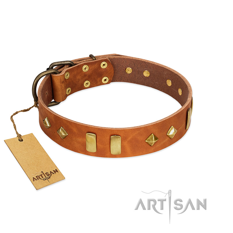 "Woofy Dawn" FDT Artisan Tan Leather American Bulldog Collar with Plates and Rhombs