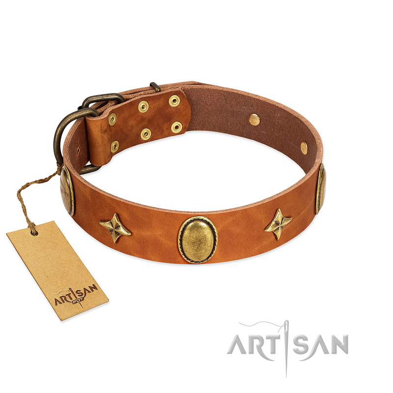 "Space Warrior" FDT Artisan Tan Leather American Bulldog Collar with Ovals and Stars