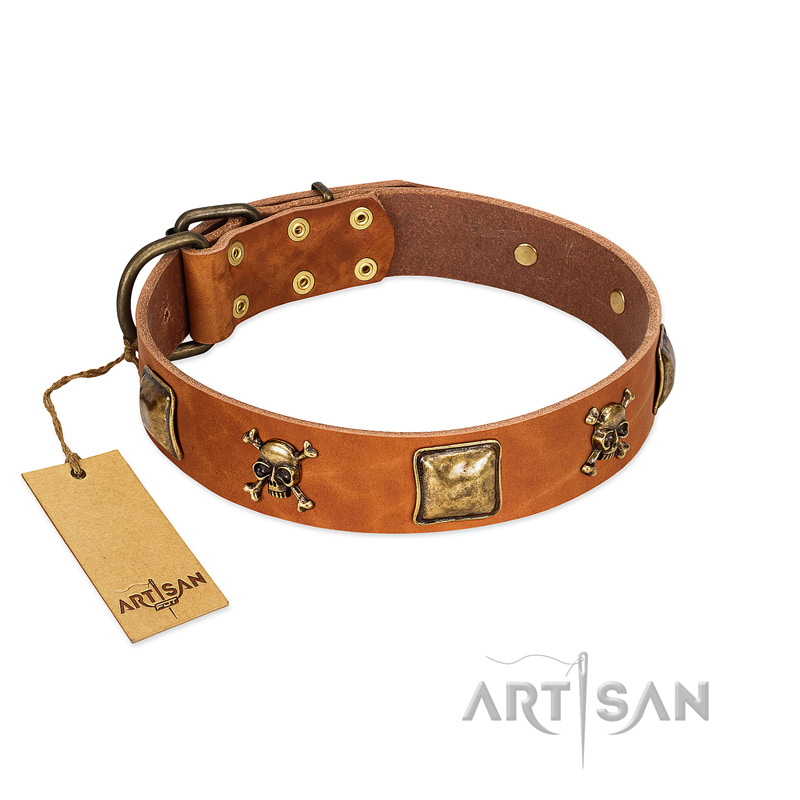 "Knights Templar" FDT Artisan Tan Leather American Bulldog Collar with Skulls and Crossbones Combined with Squares