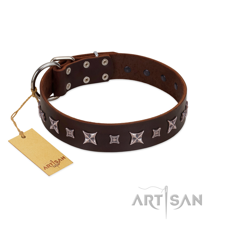 "Stellar Fairy " FDT Artisan Brown Leather American Bulldog Collar with Chrome-plated Star-like Decorations