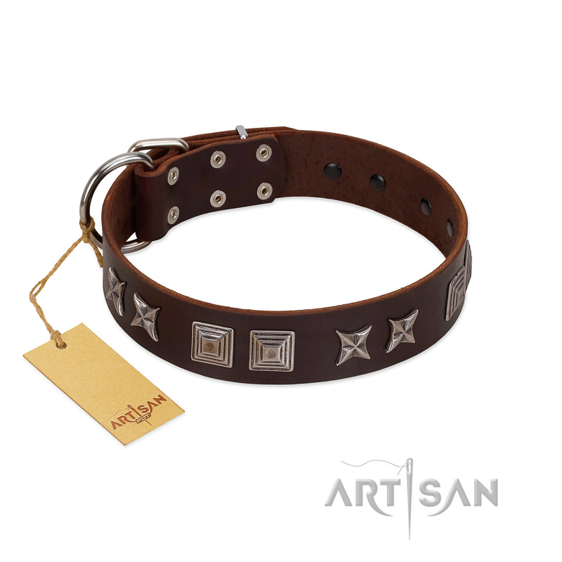"Needle Stories" Modern FDT Artisan Brown Leather American Bulldog Collar with Square Engraved Plates and Four-Point Stars