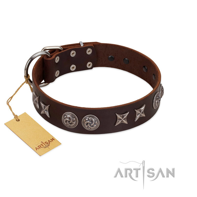 "Silver Sunset" Designer Handmade FDT Artisan Brown Leather American Bulldog Collar