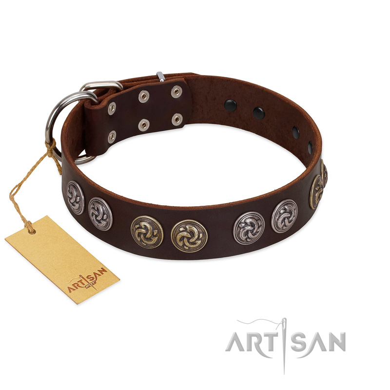 "Treasure Hunter" FDT Artisan Brown Leather American Bulldog Collar with Old-Bronze-like and Silvery Medallions