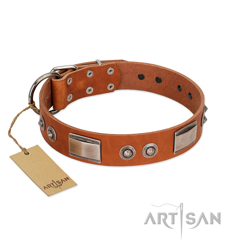 "Pawsy Glossy" FDT Artisan Exclusive Tan Leather American Bulldog Collar 1 1/2 inch (40 mm) wide