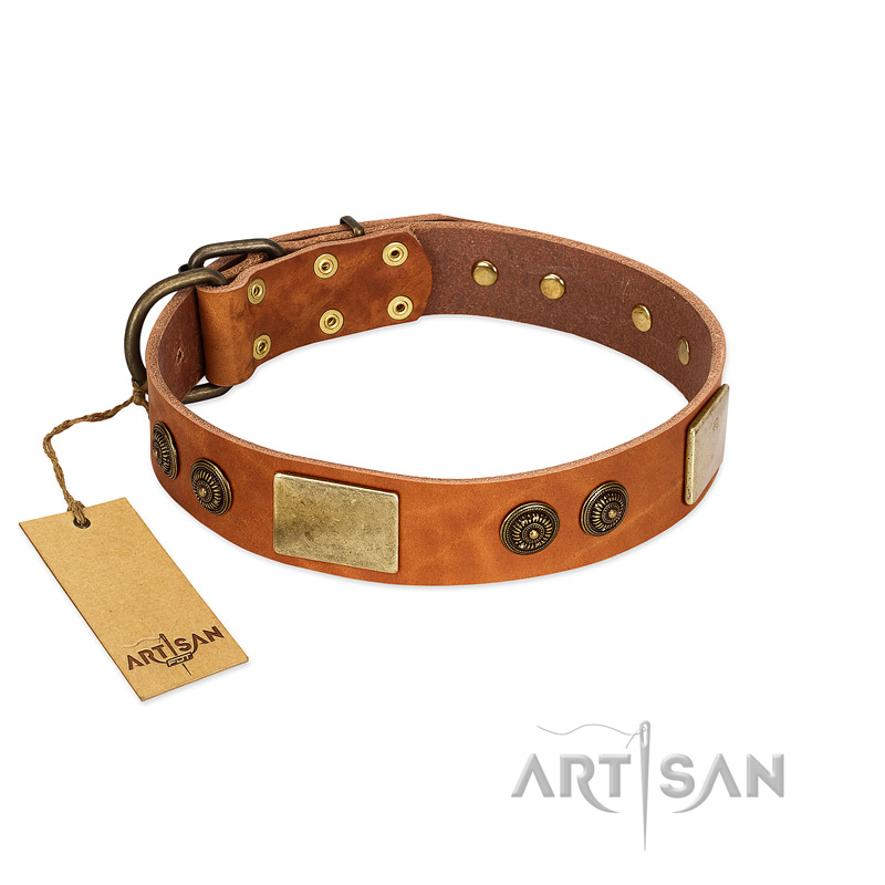 "Bronze Century" FDT Artisan Tan Leather American Bulldog Collar with Plates and Brooches with Cool Ornament