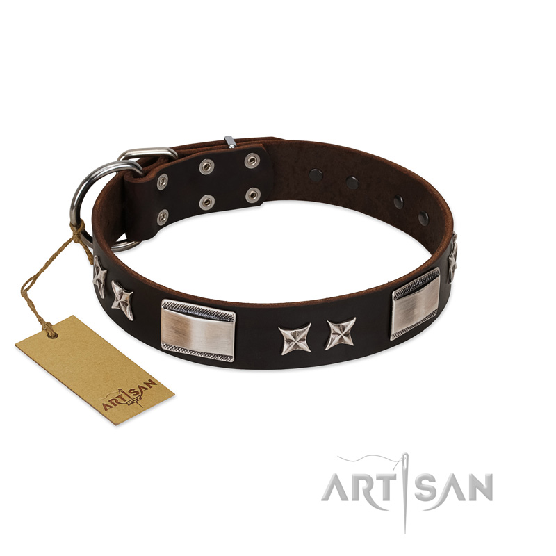 "Satin Beauts" FDT Artisan Brown Leather American Bulldog Collar with Stars and Plates - Click Image to Close