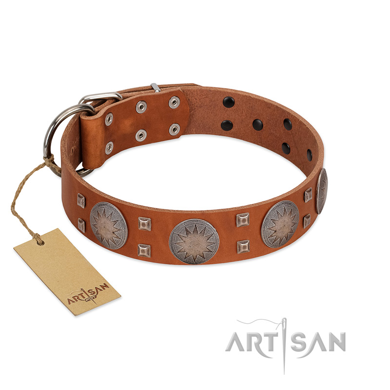 "Sun Rise Noon" FDT Artisan Tan Leather American Bulldog Collar with Unique Design