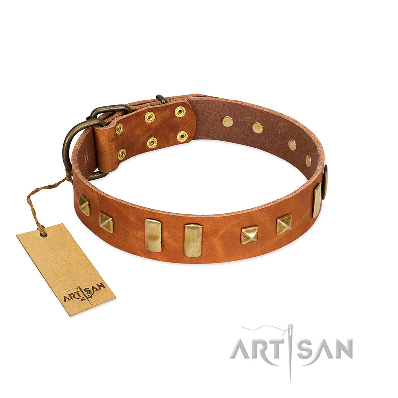 "Sand of Time" FDT Artisan Tan Leather American Bulldog Collar with Old Bronze-like Studs and Plates