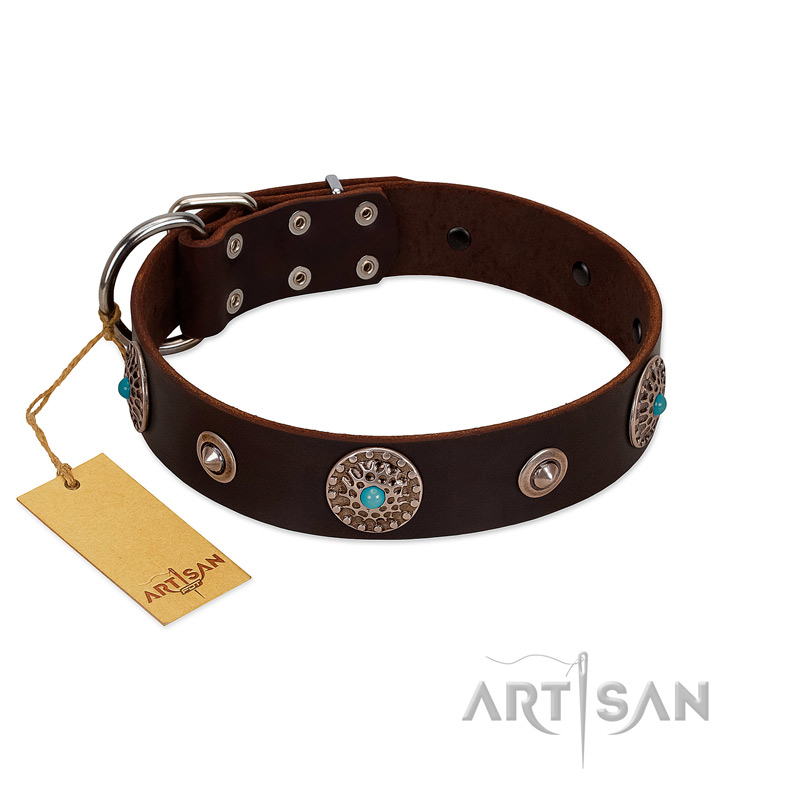 "Magic Stones" FDT Artisan Brown Leather American Bulldog Collar with Chrome Plated Brooches and Studs