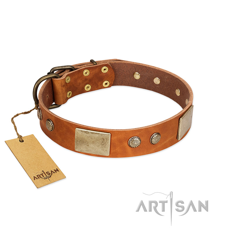 "Ancient Treasures" FDT Artisan Tan Leather American Bulldog Collar with Antiqued Plates and Studs