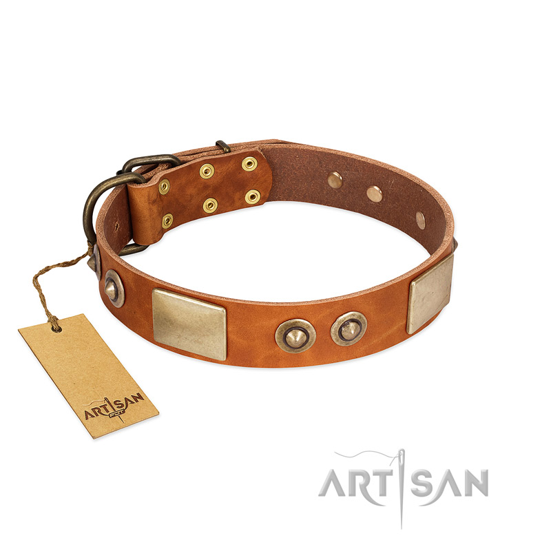 "Perfect Blend" FDT Artisan Tan Leather American Bulldog Collar 1 1/2 inch (40 mm) wide