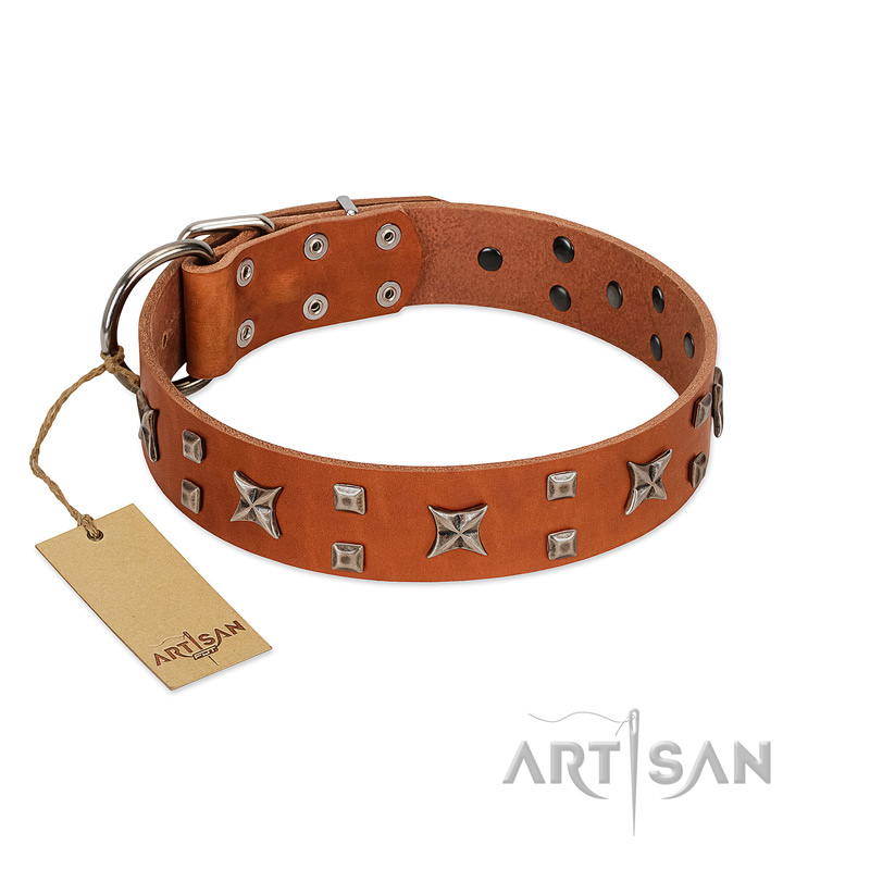 "Faraway Galaxy" FDT Artisan Tan Leather American Bulldog Collar Adorned with Stars and Squares