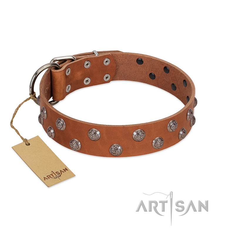 "Waltz of the Flowers" Handmade FDT Artisan Tan Leather American Bulldog Collar with Chrome-plated Engraved Studs