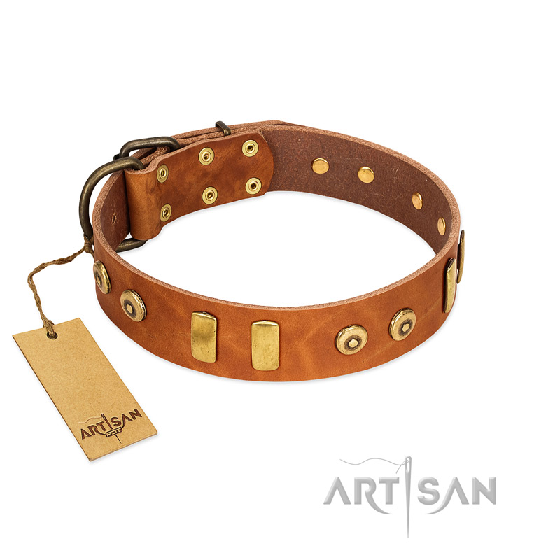 "Egyptian Script" FDT Artisan Tan Leather American Bulldog Collar with Plates and Small Studs