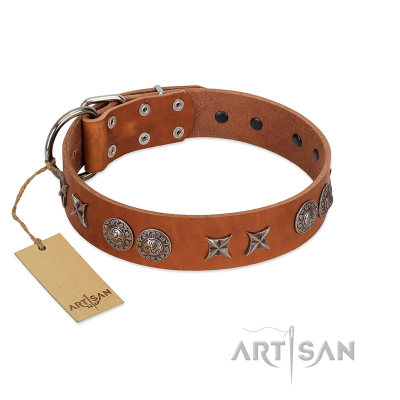 "Splendid Armor" Premium Quality FDT Artisan Tan Designer American Bulldog Collar with Shields and Stars