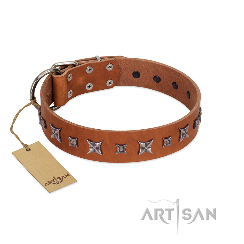 "Star Shine" Exclusive FDT Artisan Tan Leather American Bulldog Collar with Silver-Like Adornments