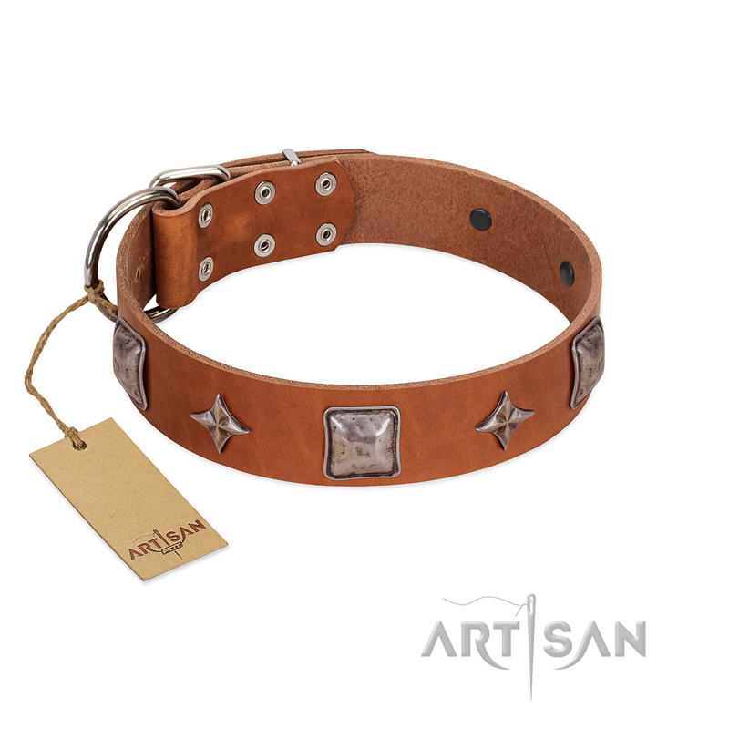 "Lucky Star" FDT Artisan Tan Leather American Bulldog Collar with Silver-Like Embellishments