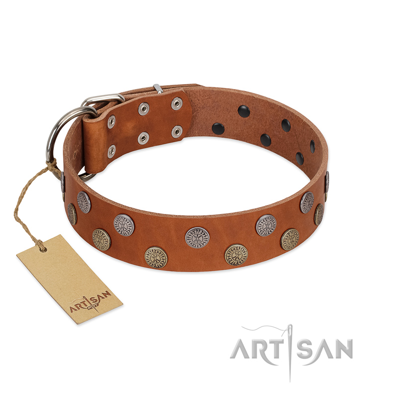 "Ancient Symbol" Trendy FDT Artisan Tan Leather American Bulldog Collar with Silver- and Gold-Like Studs - Click Image to Close