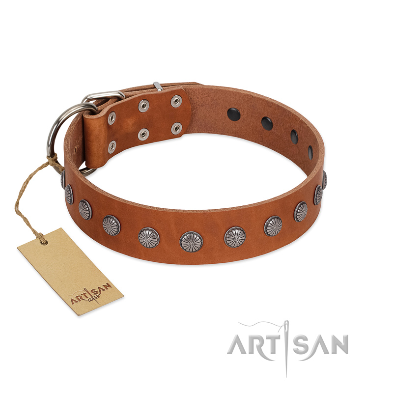 "Little Floret" Fashionable FDT Artisan Tan Leather American Bulldog Collar with Silver-Like Adornments