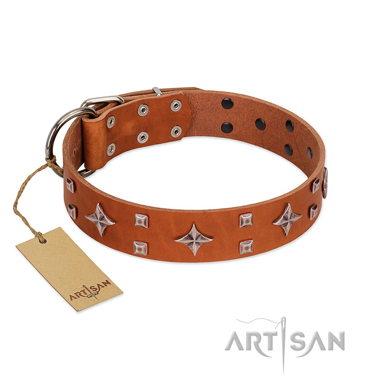 "Tawny Beauty" FDT Artisan Tan Leather American Bulldog Collar Adorned with Stars and Tiny Squares