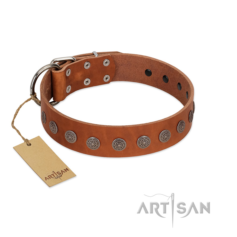 "Lucky Star" Handmade FDT Artisan Designer Tan Leather American Bulldog Collar with Round Plates