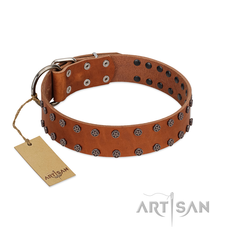 "Star Light" Stylish FDT Artisan Tan Leather American Bulldog Collar with Silver-Like Studs - Click Image to Close
