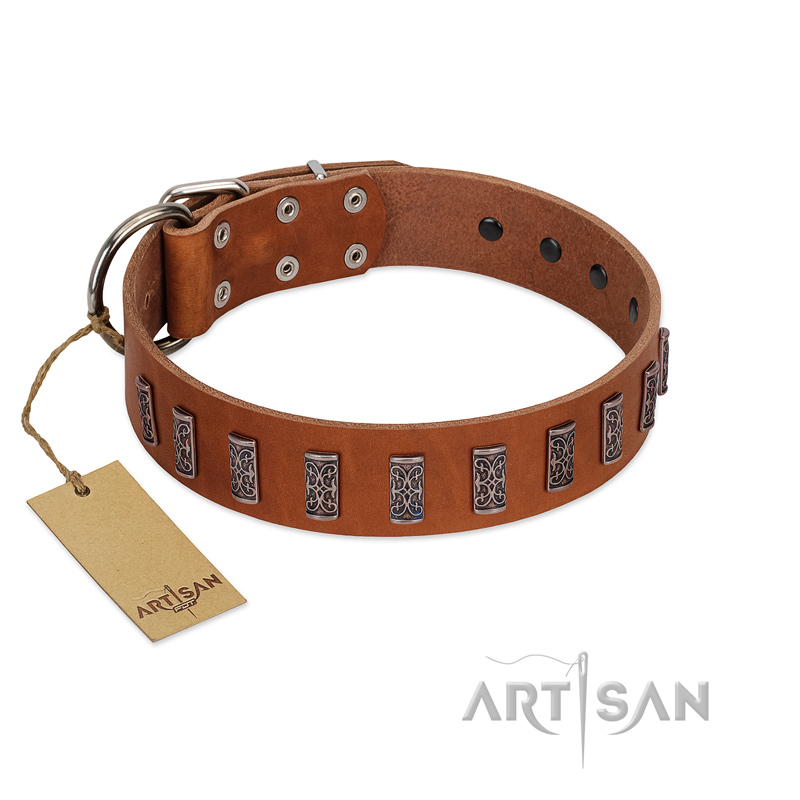 "Silver Century" Fashionable FDT Artisan Tan Leather American Bulldog Collar with Silver-Like Plates