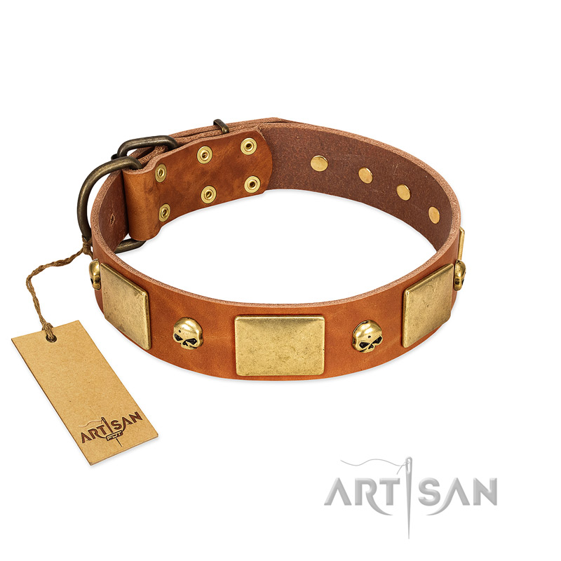 "Mutt The Daredevil" FDT Artisan Tan Leather American Bulldog Collar with Old Bronze-like Skulls and Plates