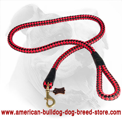 American Bulldog Leash Made of Nylon