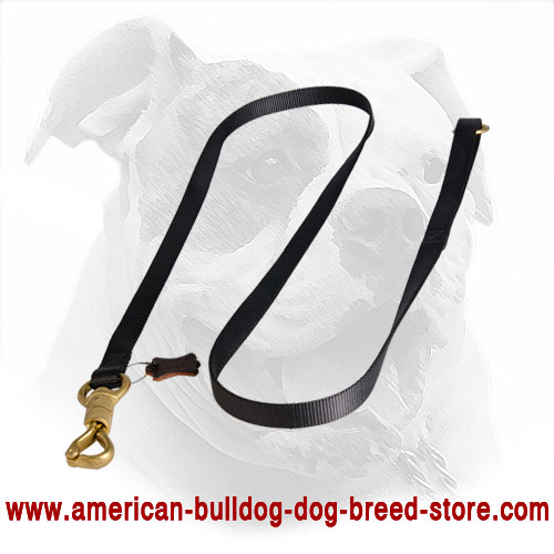 American Bulldog Leash Made of Nylon