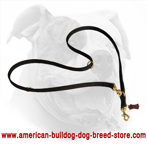 American Bulldog Leash Made of Nylon