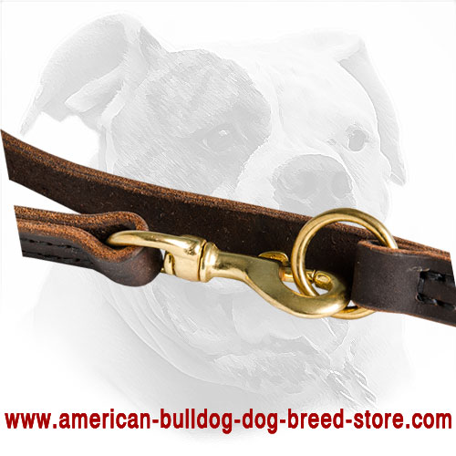 Leather American Bulldog Leash