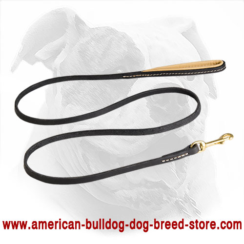 Strong Leather American Bulldog Leash