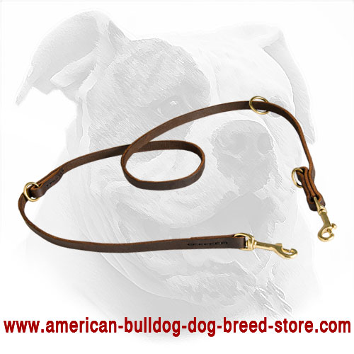 American Bulldog Leash Made of Leather