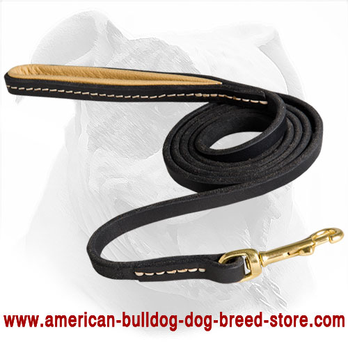 American Bulldog Leash Made of Leather