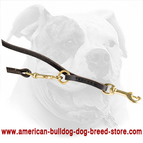 Multimode Leather American Bulldog Leash