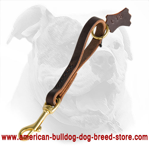 American Bulldog Leash Made of Leather