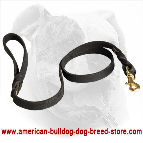 American Bulldog Leash Made of Leather