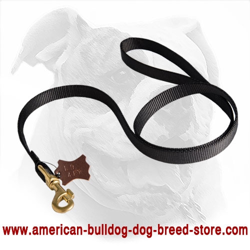 American Bulldog Leash Made of Nylon